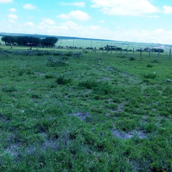 Enka Gardens Plot for Sale in Konza