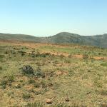 Ndeiya Plot for sale in limuru