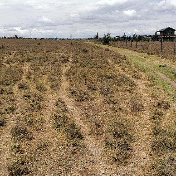 Plots For Sale In Kisaju-Olturoto